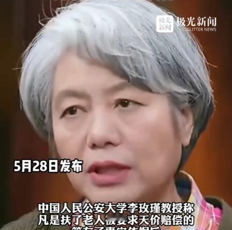 “不够判刑，那就高额罚款！”中国人大李玫瑾教授曾建议，凡是扶了老人被要求天价赔偿