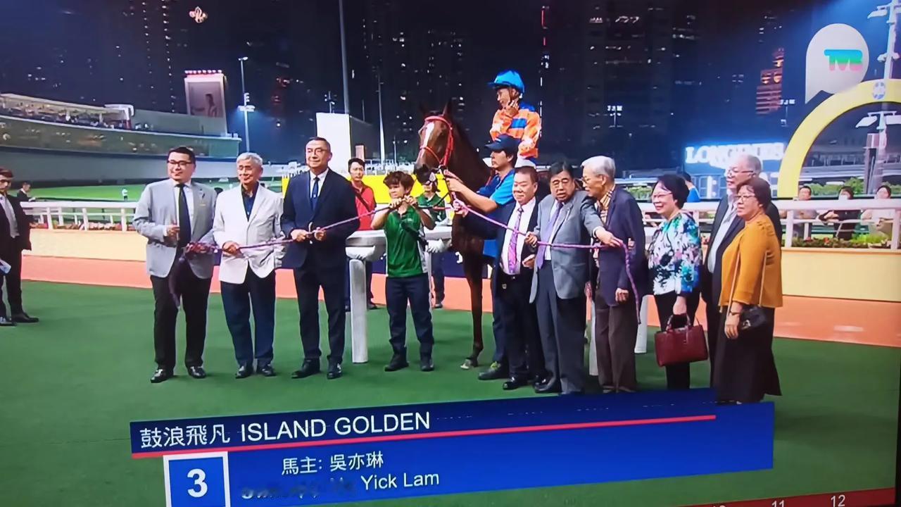 久违了的头马。朋友老乡吳涛先生是资深爱马人士，饲养多匹以故里“鼓浪”冠名开头的纯