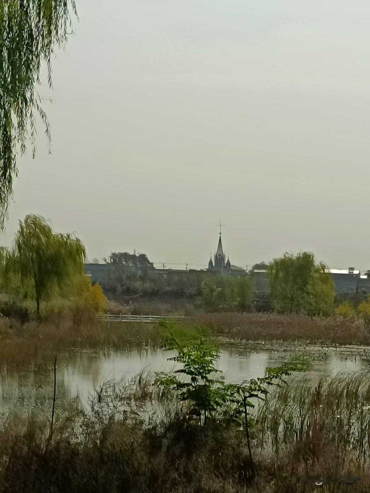 梁东方
据说沙河湿地公园是旅发大会的成果之一，它只把沙河的这短短的一段进行了修缮