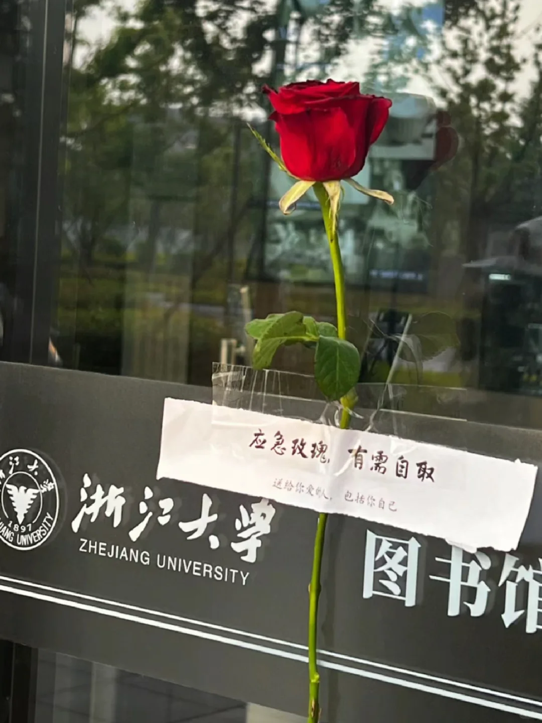 考研上岸但接猛了…😇