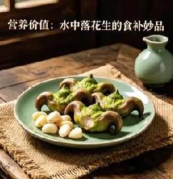 夏日水乡鲜菱角，
一口清甜解燥热
 
入夏正是鲜菱角上市的好时节，这枚藏在荷塘里
