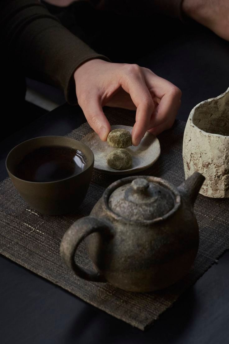 丛木开风径，过从白昼寒。舍深原草合，茶疾竹薪乾。夕雨生眠兴，禅心少话端。频来觉无