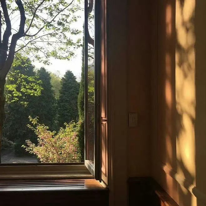 在某一类人身上不值得浪费任何感情，哪怕是愤怒的感情。我把这一点确立为一个原则：节