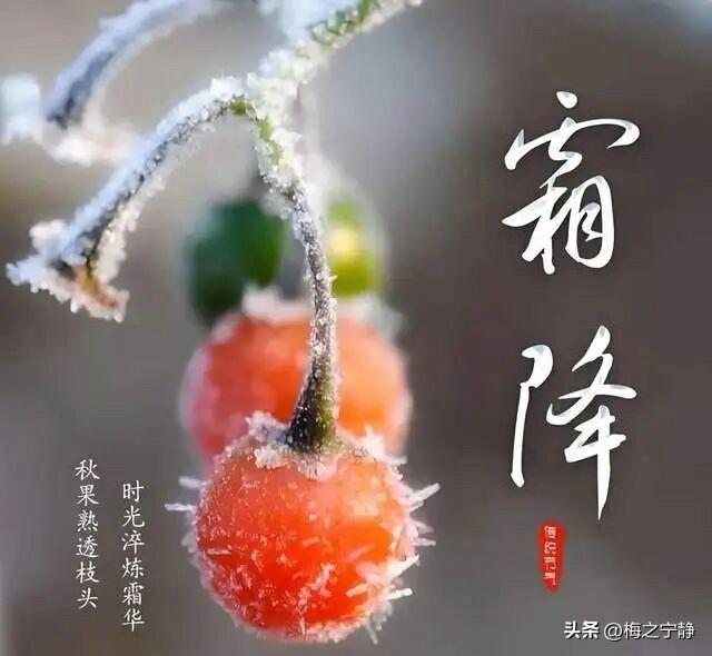 🍂 明日霜降｜皆如愿☕️🍒🍑
霜临秋将尽，
风清晨色寒。

添衣护身暖，