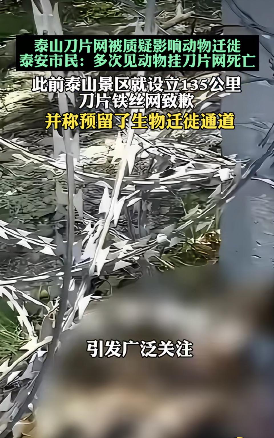 都说泰山是五岳之首，是刻在中国人骨子里的圣山，属于全体国人、更是世界级的文化瑰宝