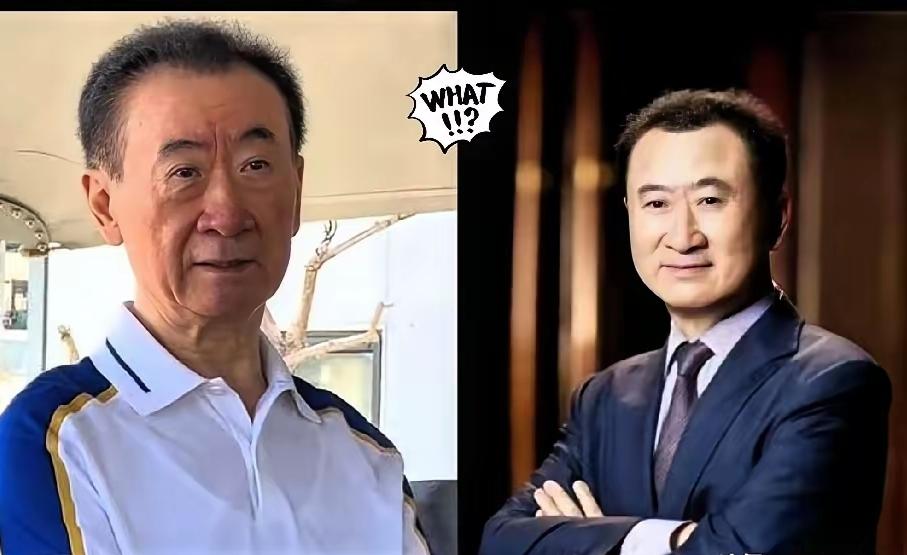 王健林限高一天就被取消，主要是因为此次限高是由万达下属项目公司经济纠纷导致，且此