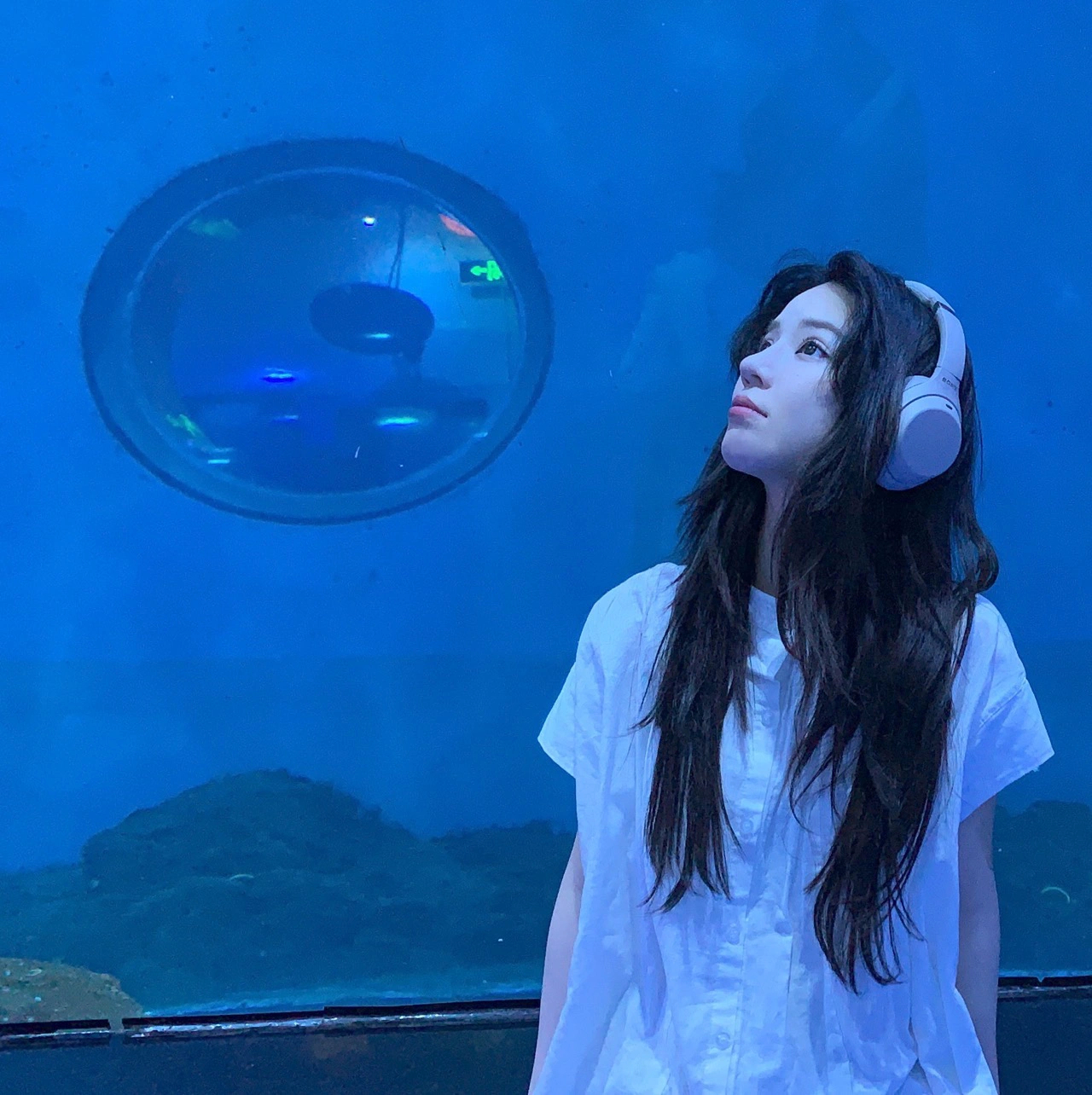 𝐒𝐡𝐚𝐫𝐞·夏日蓝色头像    🥥🐨🎧 ​​​