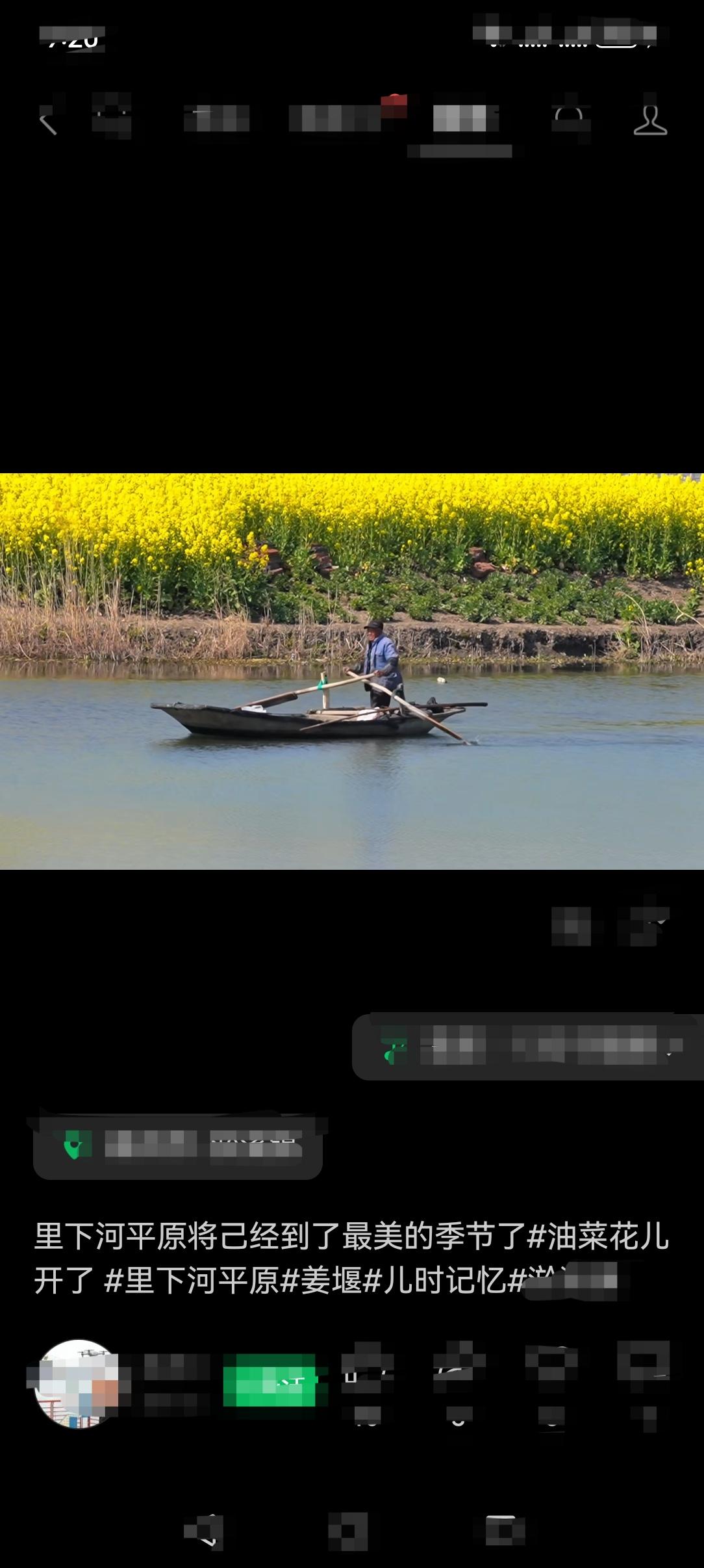 看油菜花何须到兴化，俺老家的油菜花也是黄灿灿的美，嘎嘎的香。
漫步田间，移舟水荡