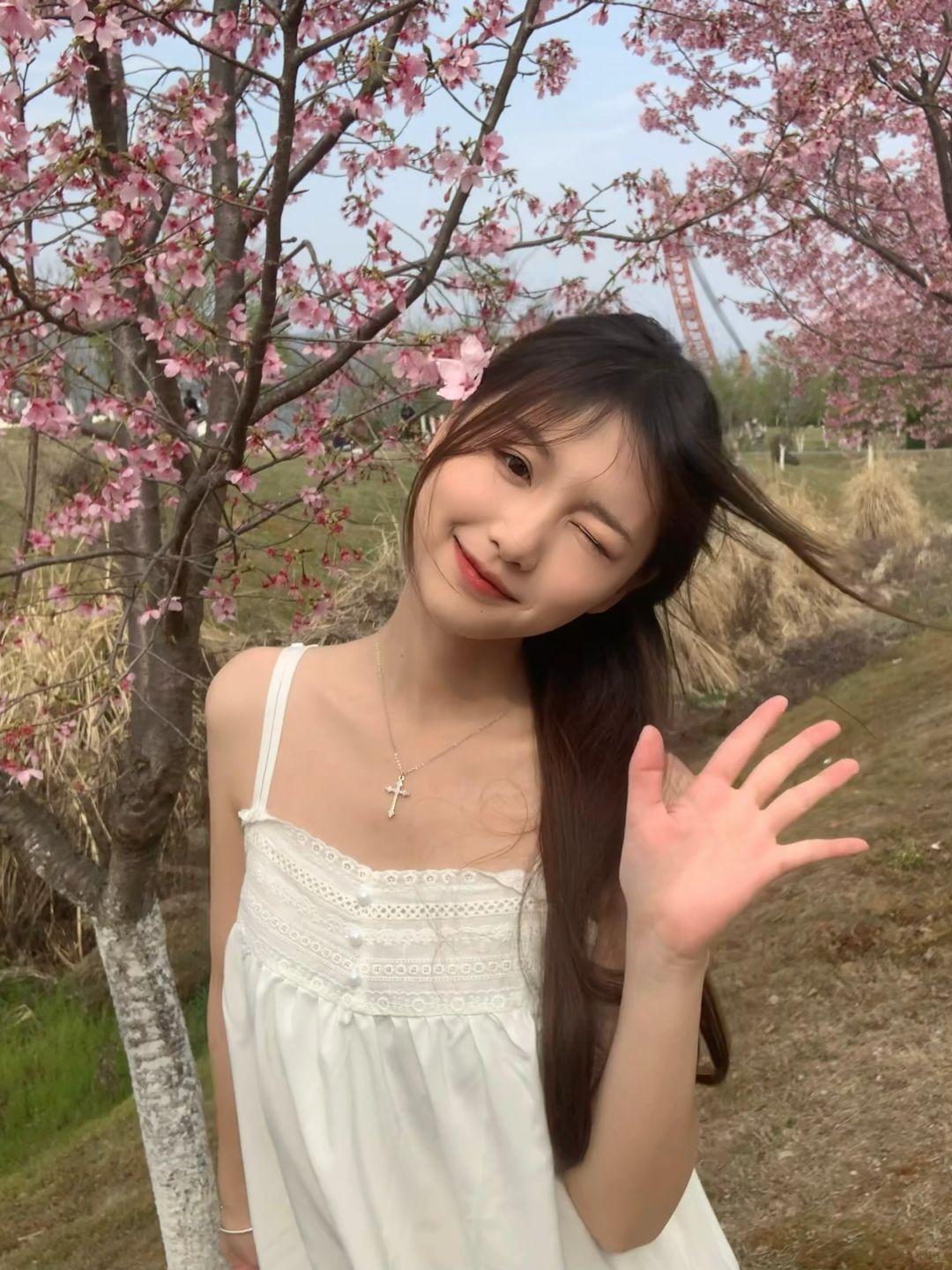 和樱花拍照啦