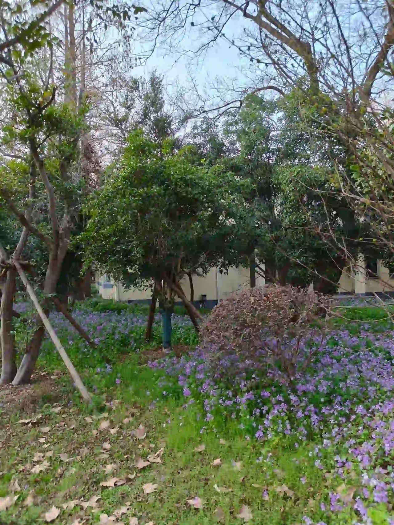 春风和煦，犹如一把古老的画笔，挥舞着万千色彩。在深冬与新春之间，有一种奇妙的力量