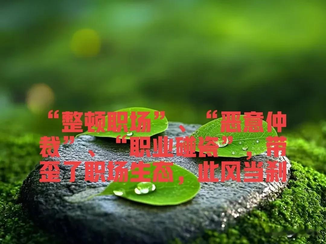 “整顿职场”、“恶意仲裁”、“职业碰瓷”，带歪了职场生态，此风当刹！

在职场这