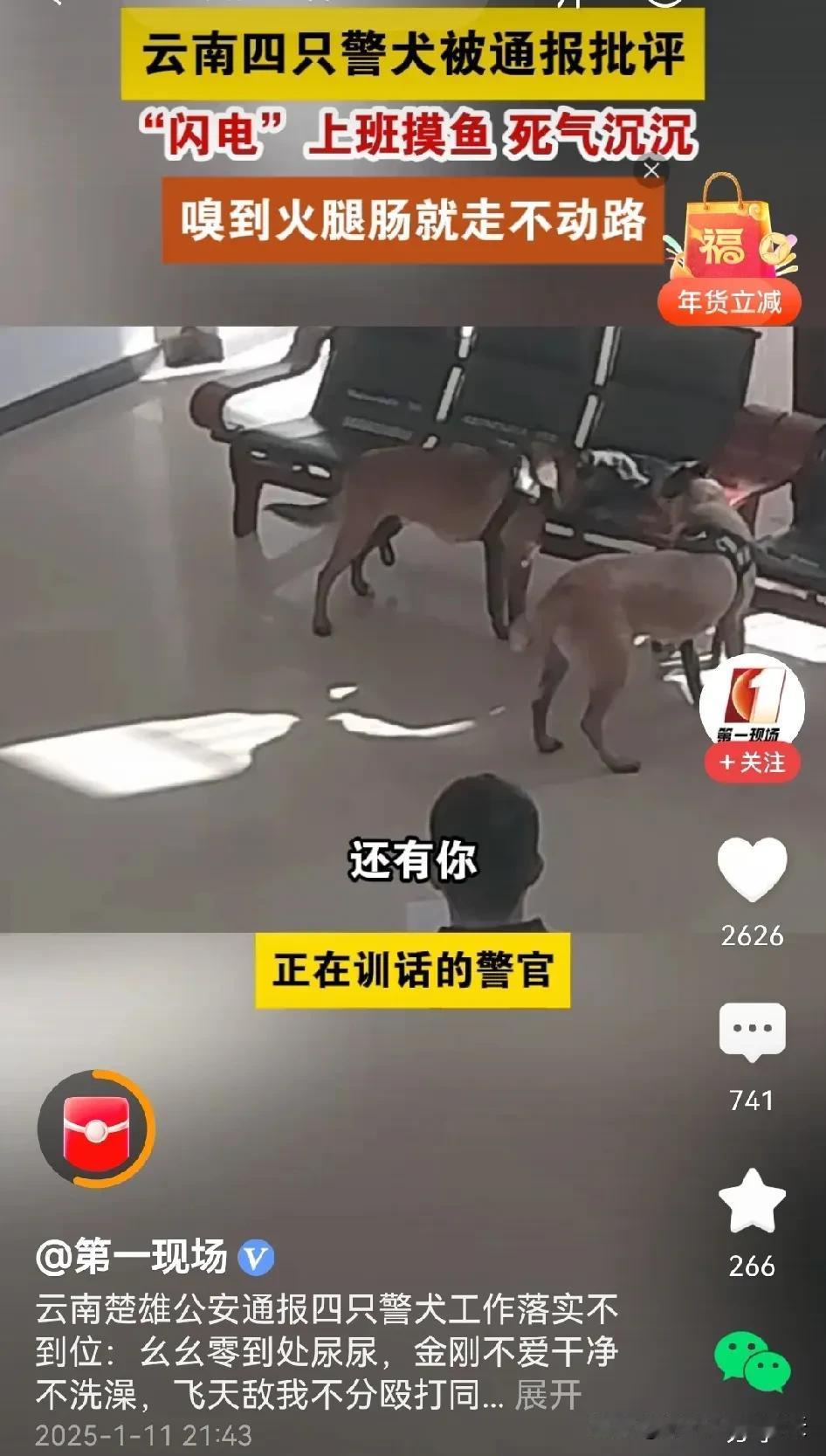 这也是挺直接的，不管你是什么身份，犯了错都得挨批。

一个爱撒尿，一个不爱干净，