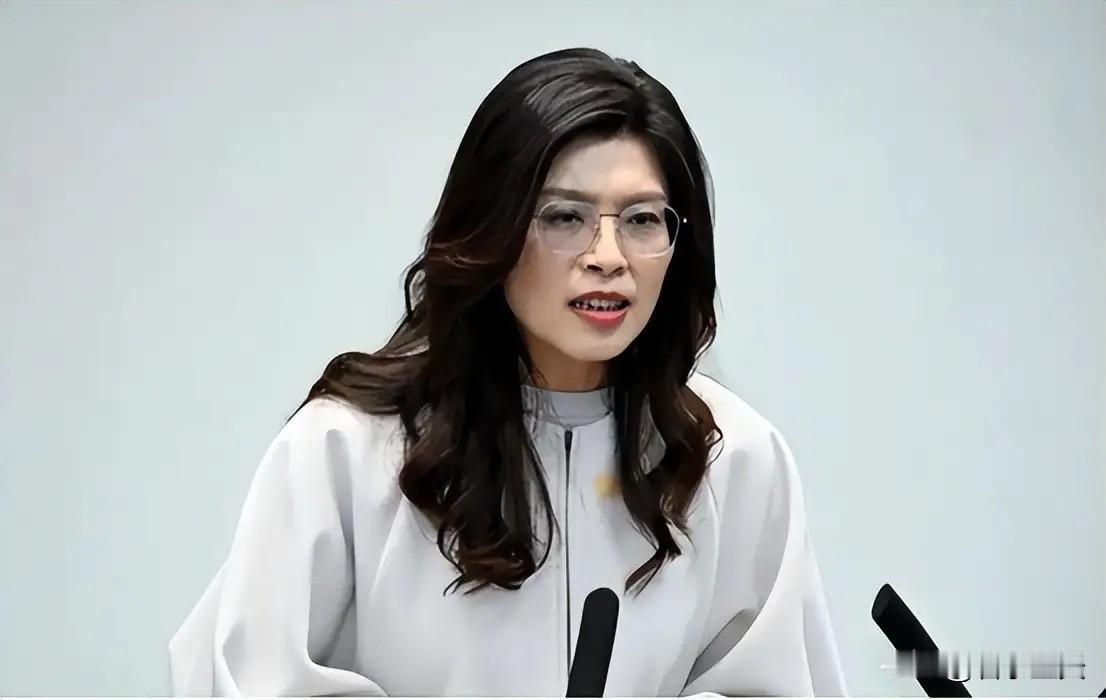 岛内大选举即将来临之际，随之而来的派别内斗也日益加剧，为了缓解这种长期内耗的尴尬