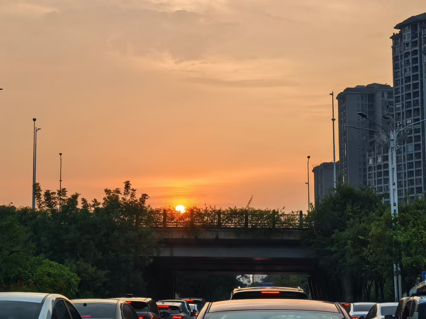 夕阳无限好，连休十三天。 ​​​