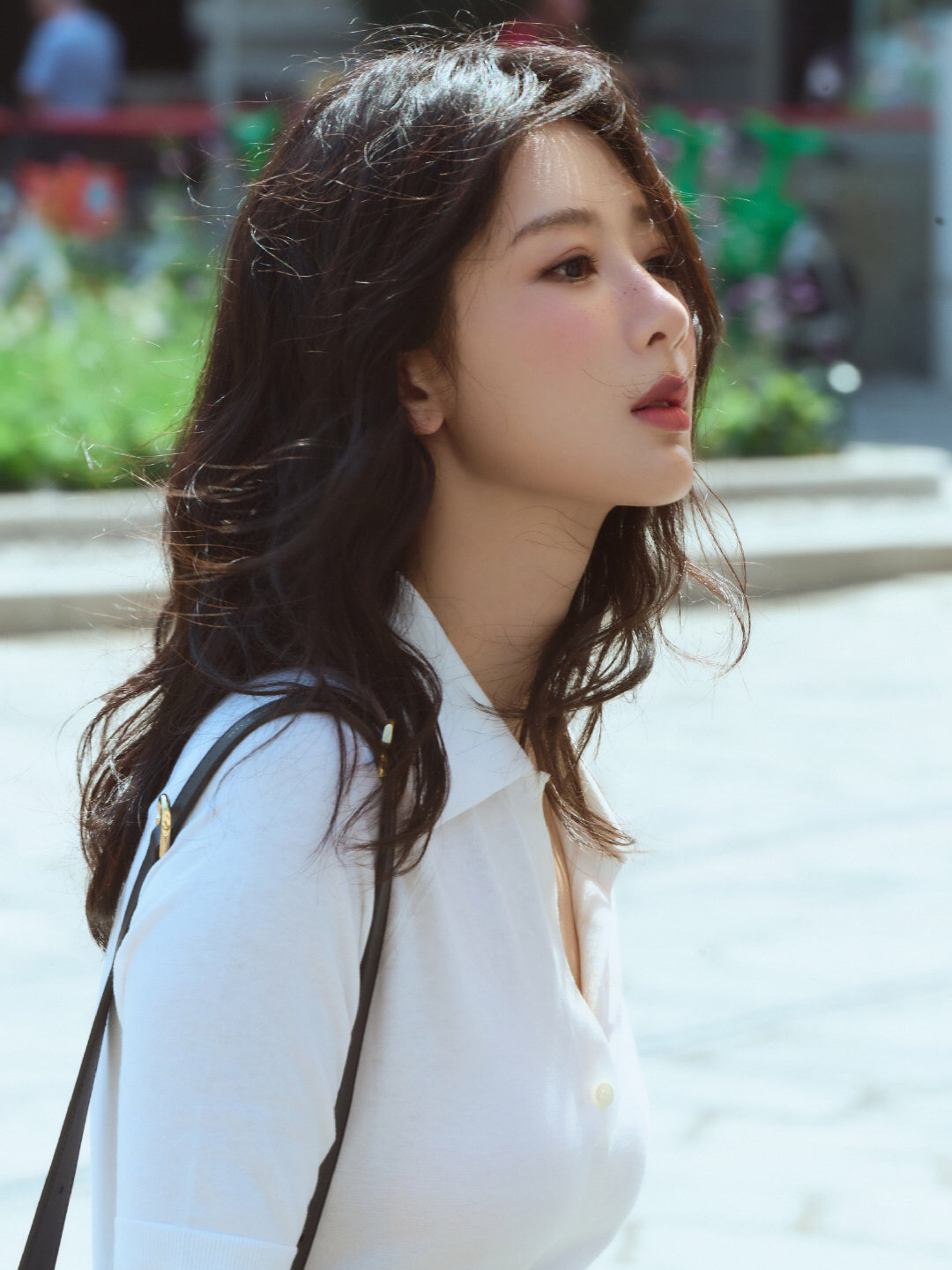 杨紫杨紫李祯yz杨紫家业繁星之下盼晨曦，黄昏之后思蝉鸣，皎月清凉你是我的方向