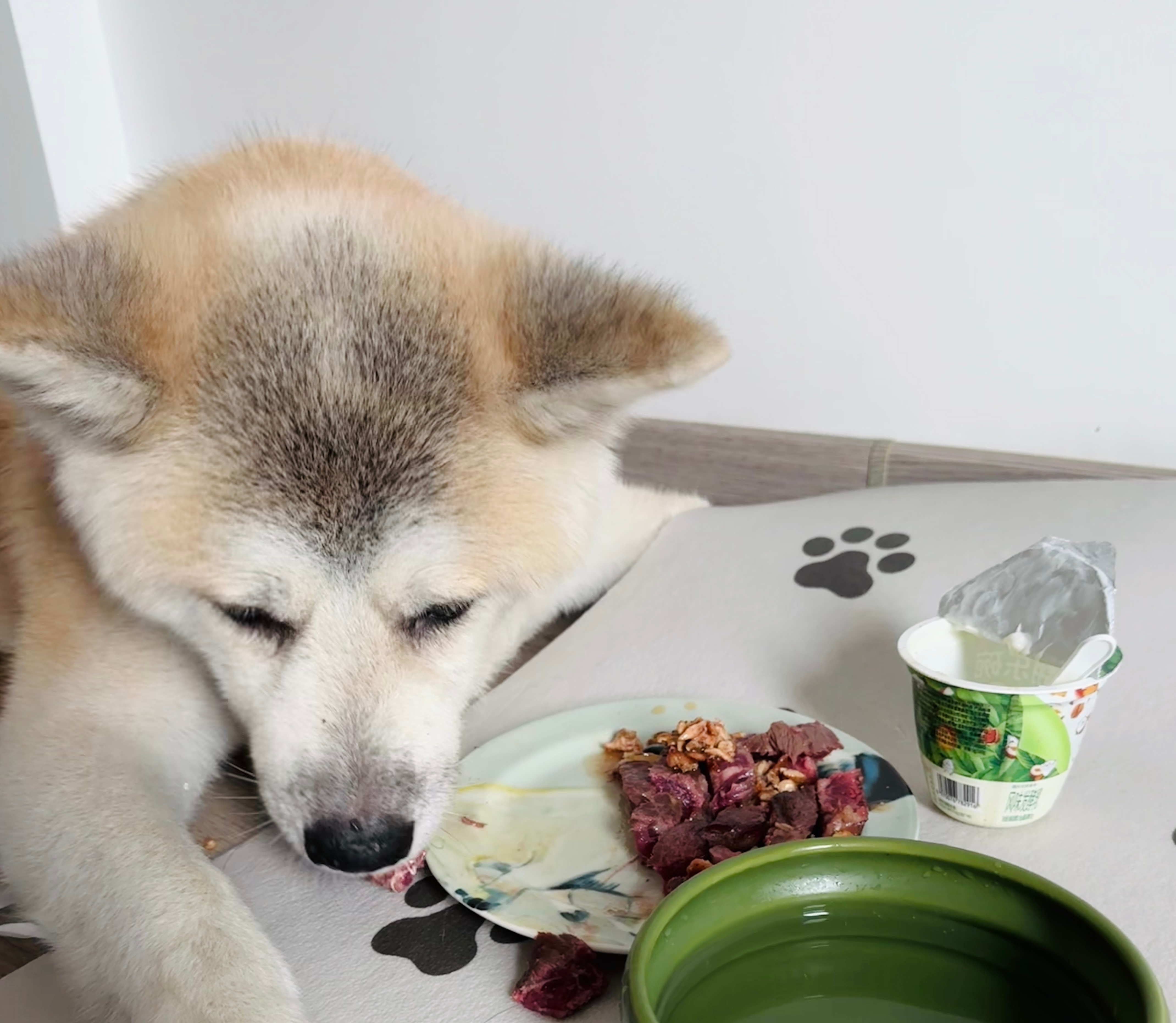 老病狗还是有食欲的。和妈妈一样，金金也最爱吃三分熟。 ​​​