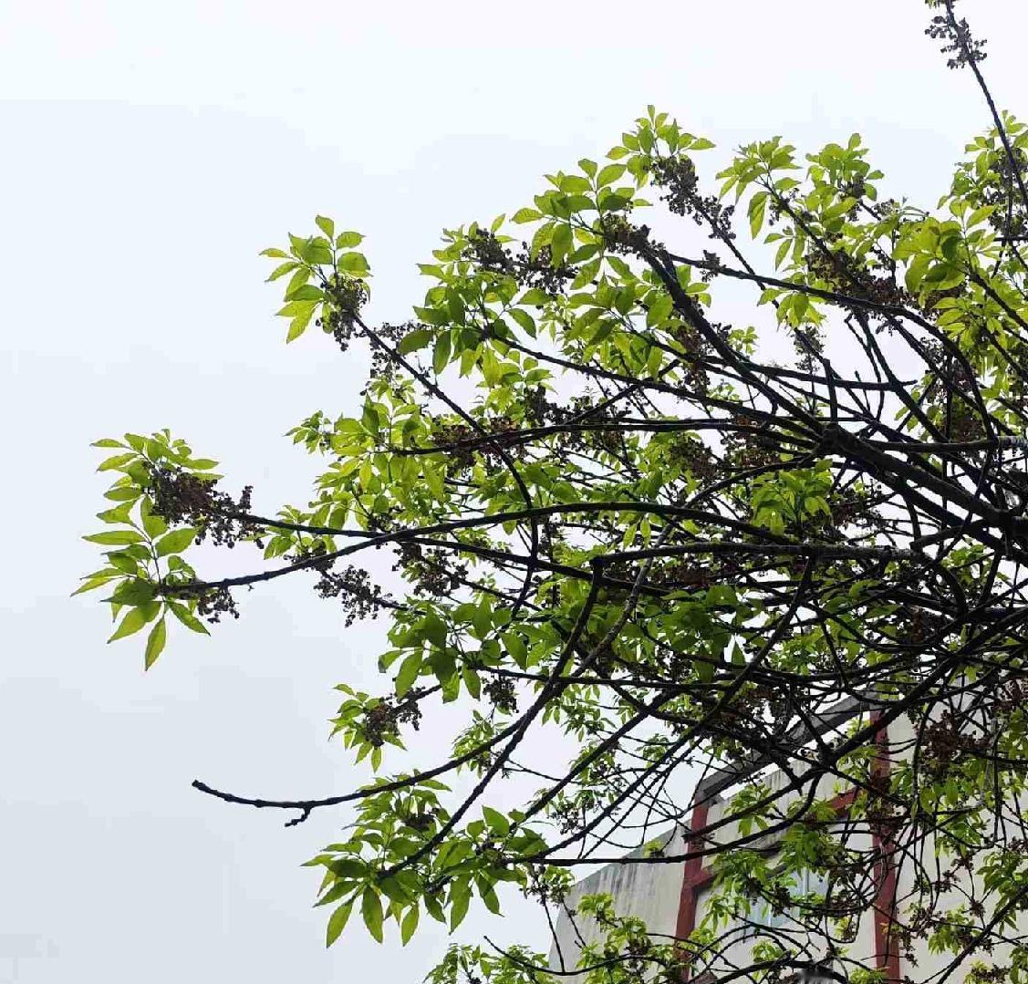 我的今日状态：😁轻松愉快
我这里的天气：🌧下雨