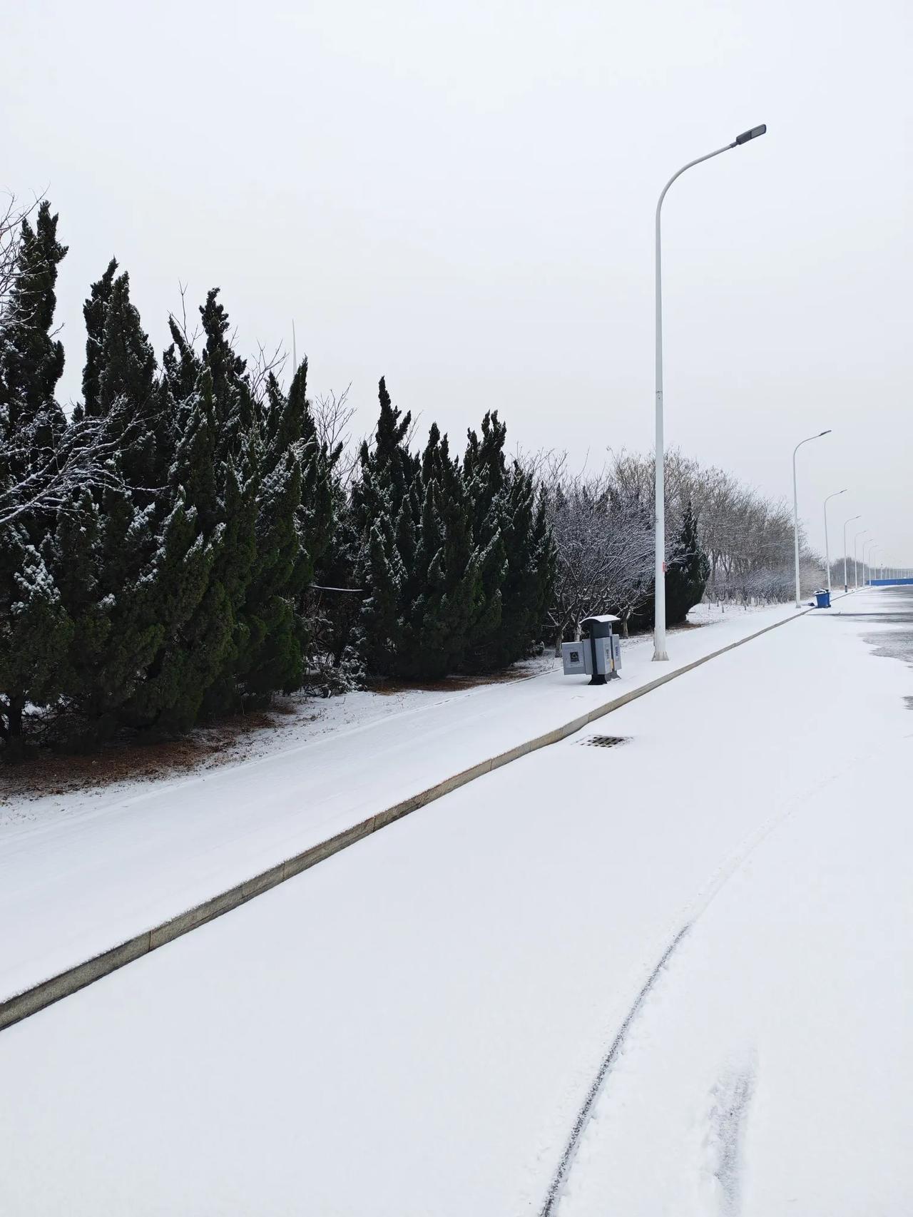 天津可算下了一场雪啊津城第一场雪