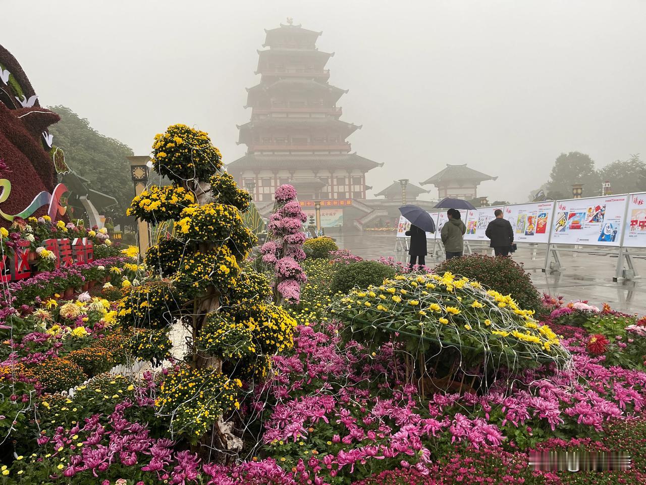  今天下午，我们冒着毛毛细雨骑自行车来到石鼓山，这里正在举办宝鸡市第十五届金秋菊