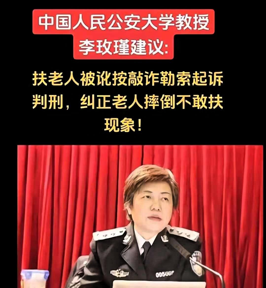 2024年，中国人民公安大学李玫瑾建议，凡是扶了老人被要求天价赔偿的，在老人拿不