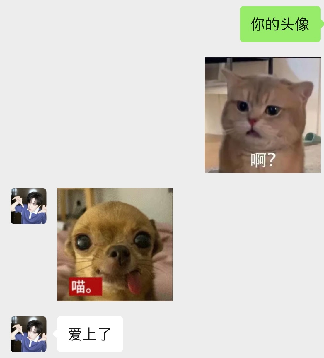 《给诡秘安利张新成后，这是她一周内的变化》Ps…上周头像还不是这个 
