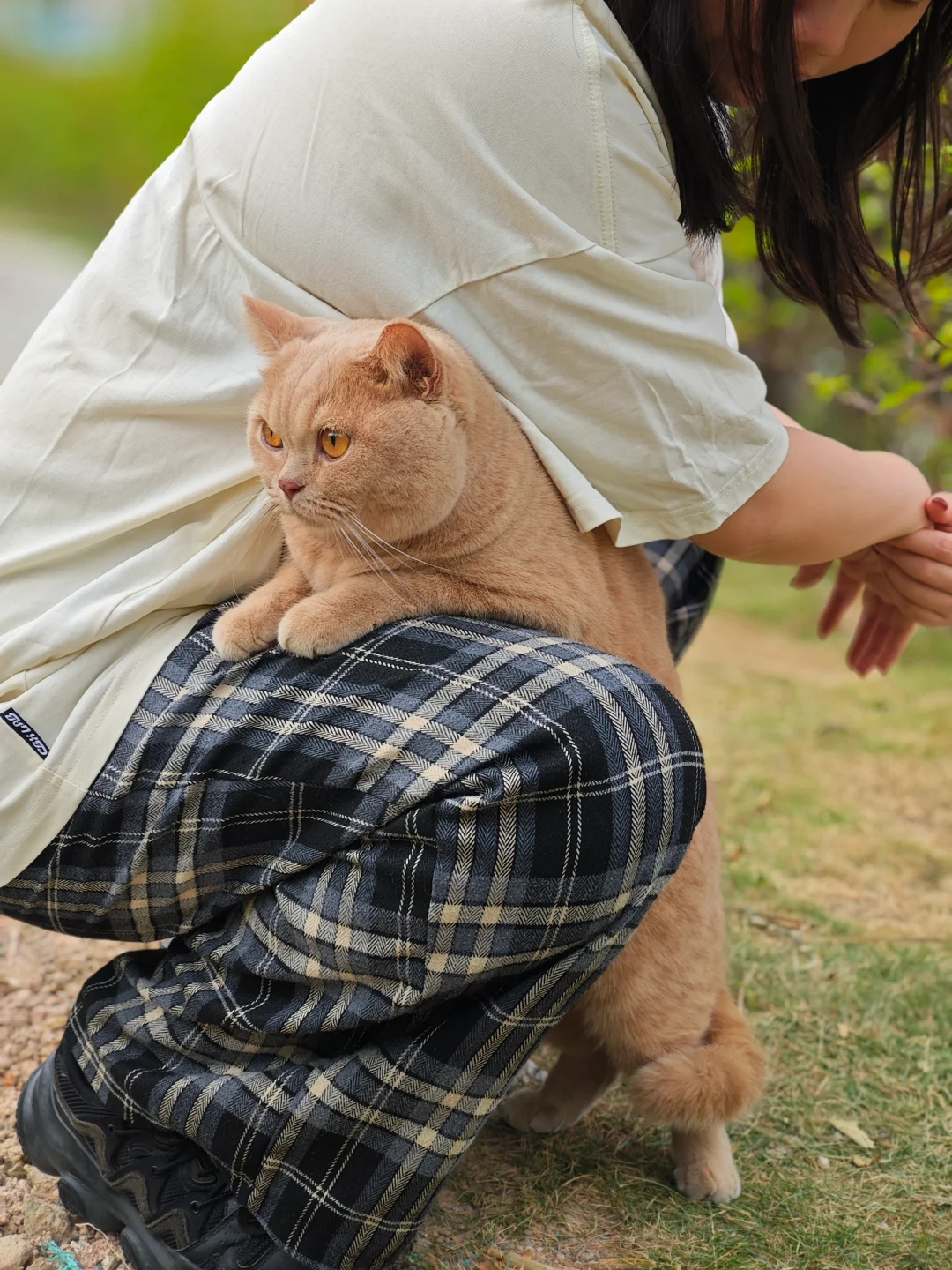 今天是公园日🍂