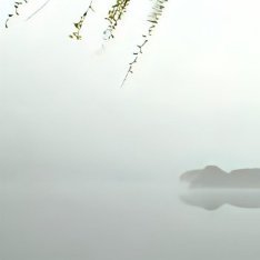 阳光信用 每日一善 ‎阳光‎信用 善念起，暖意生。不揭人短，不道人非，遇事多帮一
