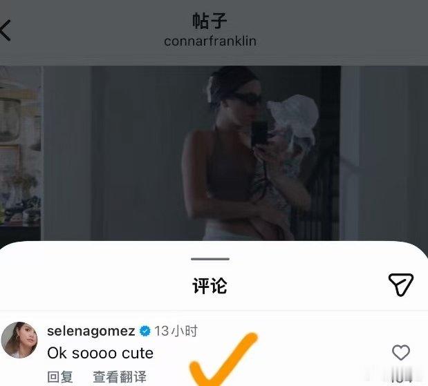 赛琳娜在霉霉婚礼上带手机赛琳娜在霉霉婚礼上带手机！赛琳娜在霉霉婚礼上用手机