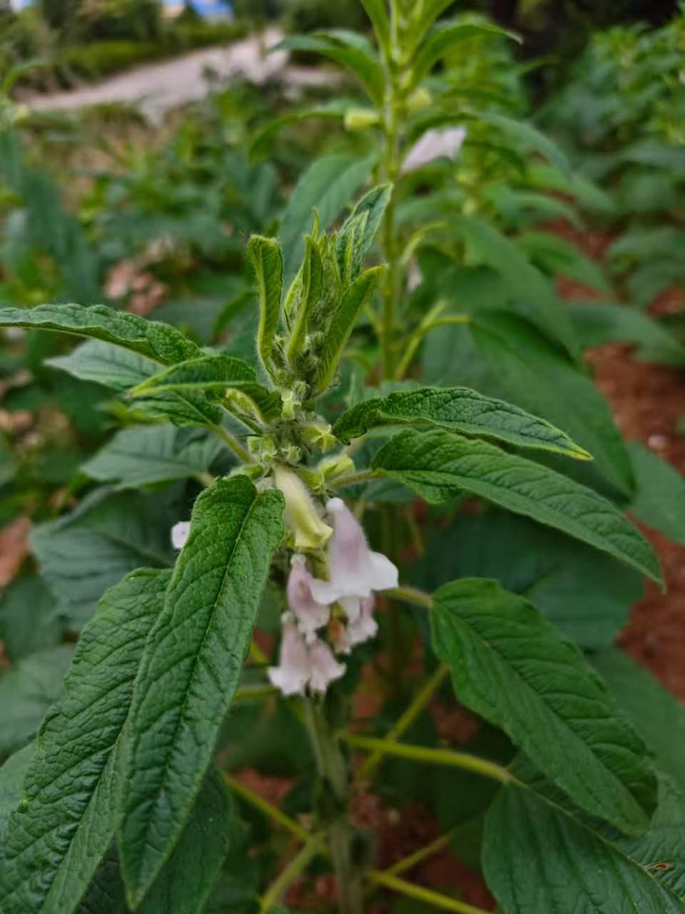 你一定会有出息的！
你一定会有出息的！
你一定会有出息的！
重要的事情，说三遍！