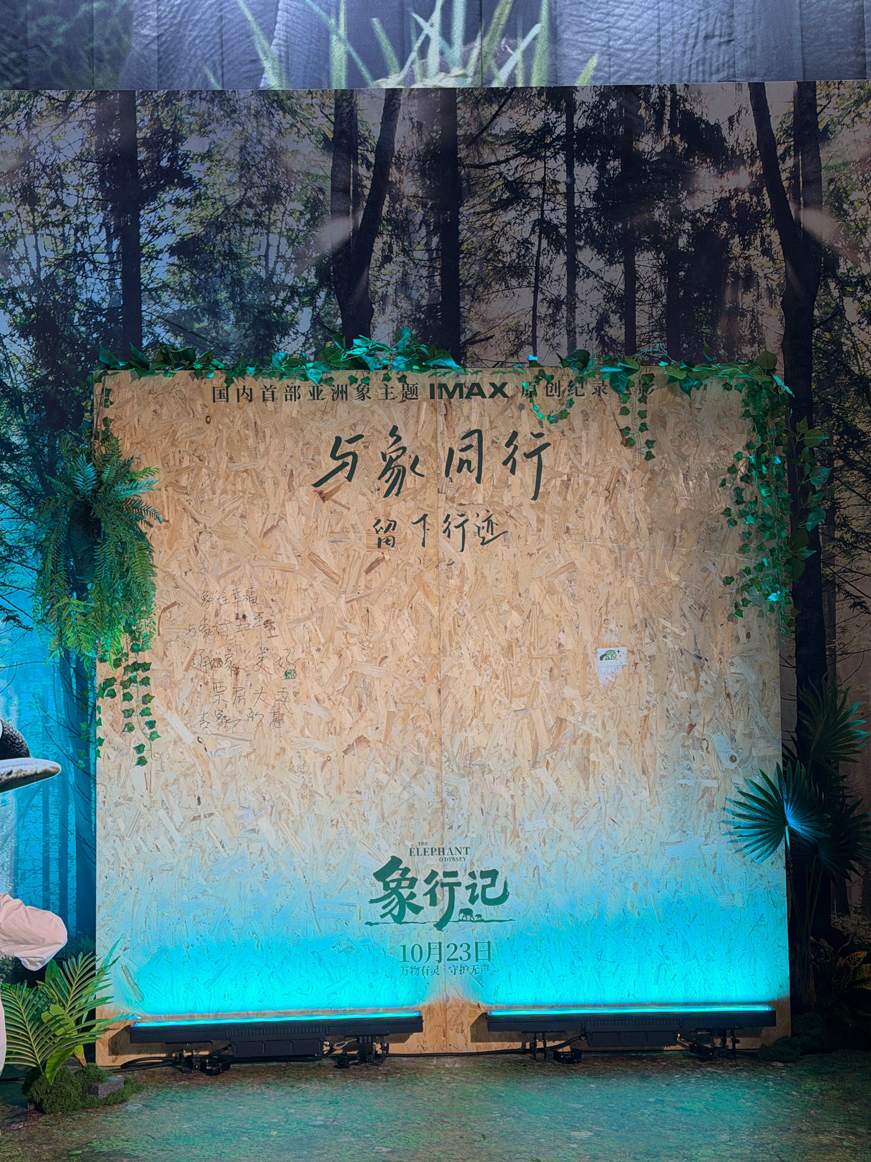 来看纪录片《象行记》，首映现场好用心。这部聚焦的是亚洲象迁徙事件，主创团队历时三
