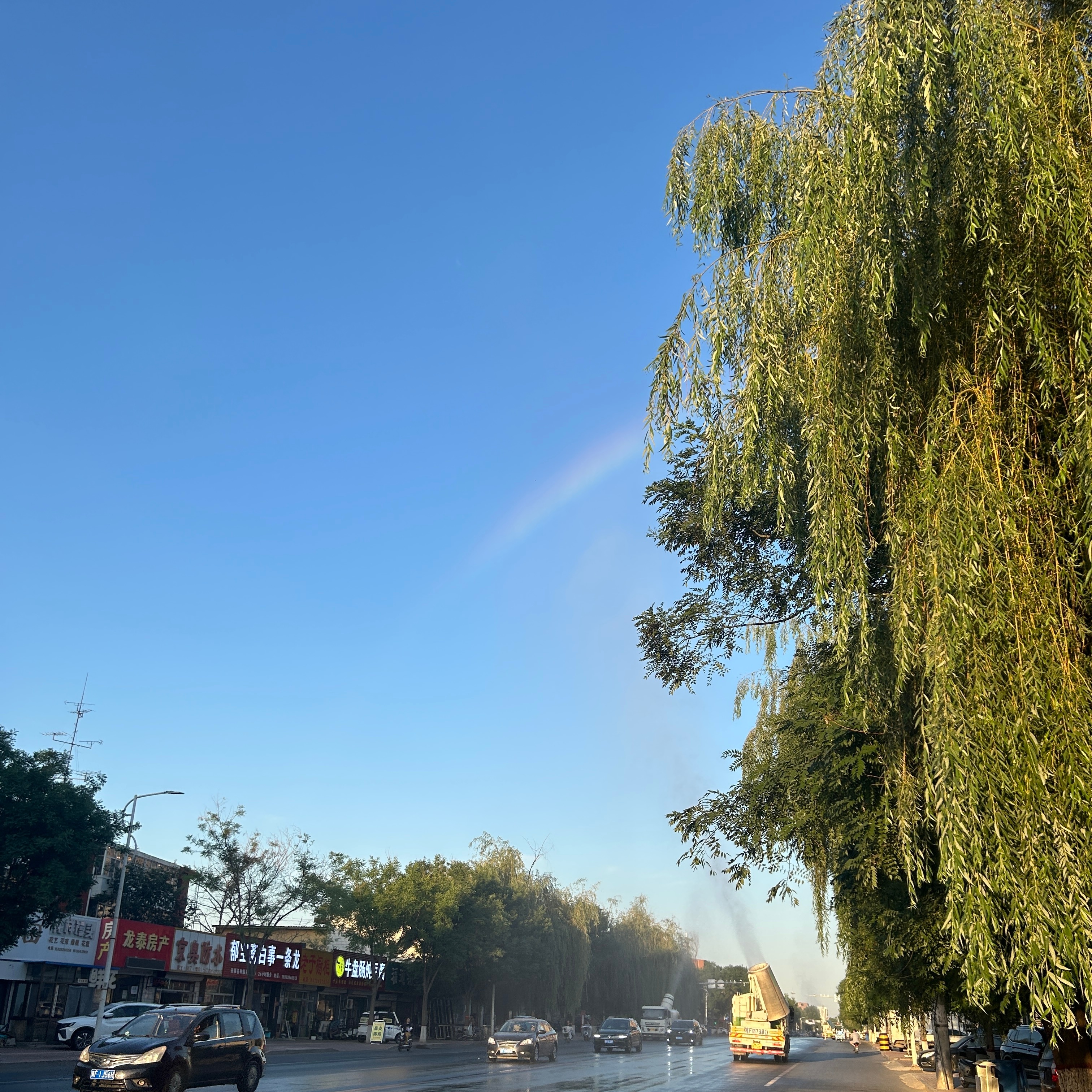 🌈 