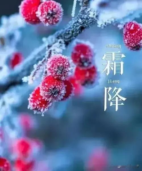 今年冬天会特别冷，甚至是百年不遇？先别急着慌。最近“寒冬”搜索量蹿升四倍，可中国