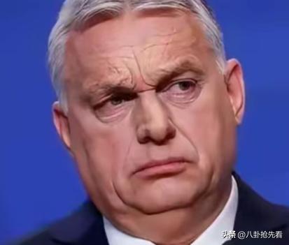 欧尔班直接点名德国：乌克兰在德国的眼中很有可能都比不上一个“棋子”，乌克兰的伤亡