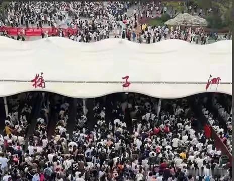 2025年，长沙全年累计入境游客42.59万人次，位居中部六省第一，超过了中部第