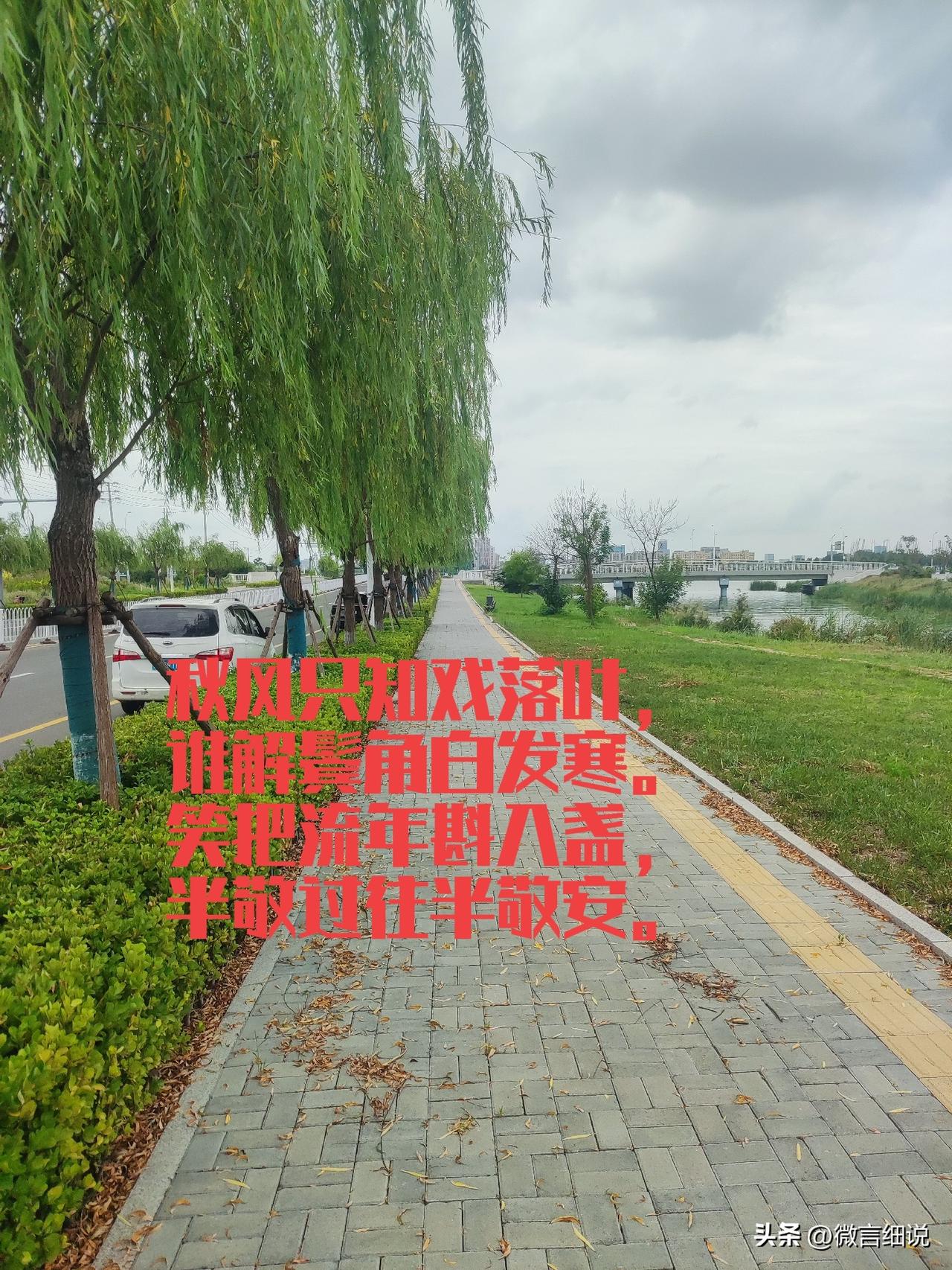 一丝清风吹落叶，两片闲云遮远山。
三两清闲换斤酒，四粒花生惹酒酣。