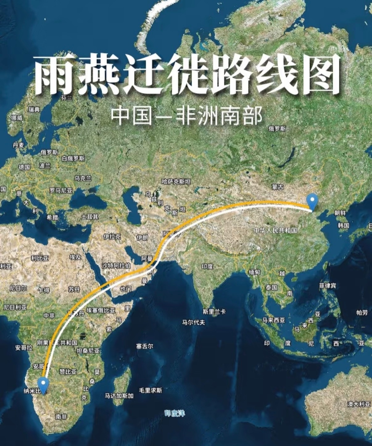 我一直以为燕子去南方就是去中国的南方。没想到燕子飞去的南方，竟然是非洲。飞这么远