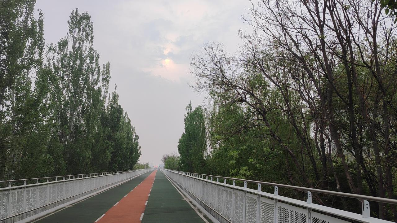 我行•我本可以

分享警句：人生最大的遗憾，不是“我不行”，而是“我本可以”。