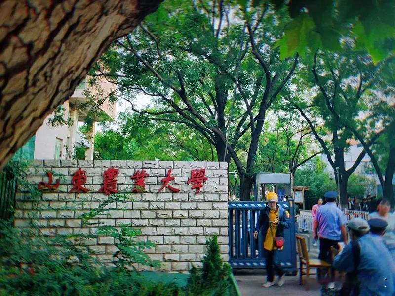 人还真有穷死的。之前听说一个山东学霸猝死，身上却只有22块钱，想想就让人唏嘘。还