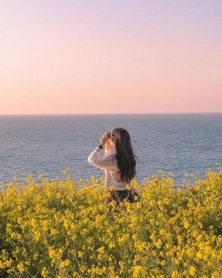 海与花与你，是我对自由的向往🌊🌸
