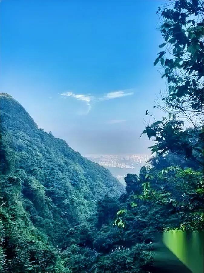 别急着点头！

你朋友圈的“人品王”，可能正偷偷拉黑债主。

我偏要唱反调：守信