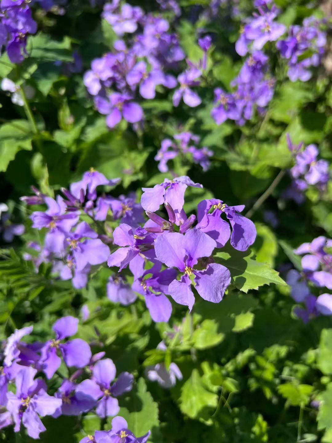 人世间最好的感情，不是朝夕相处，而是默默陪伴
 
人这一辈子，会遇见很多人，也会