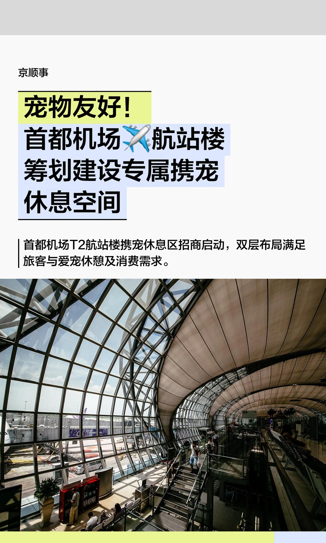 宠物友好！首都机场筹划建设专属携宠休息区