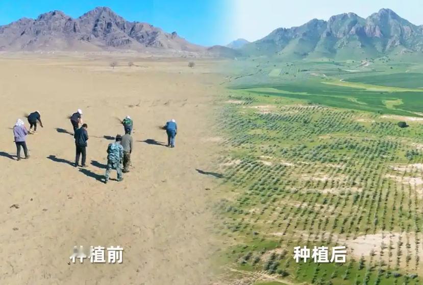 被中国人的沙漠植树奇迹震撼了 这个真的是没有对比，就没有直观的感受，前后的反差之