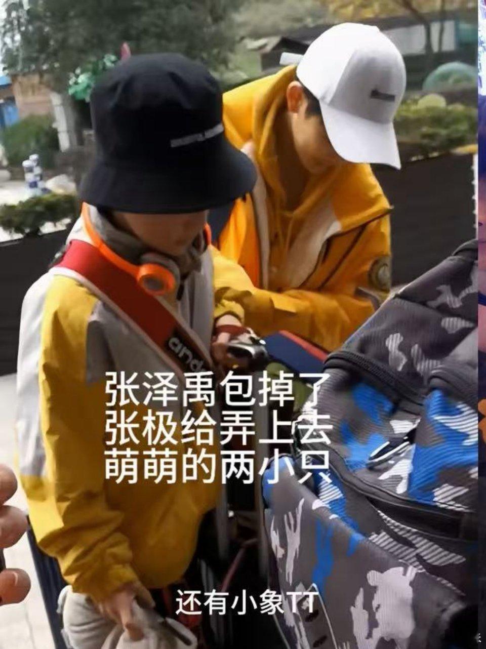 我的两个小宝宝