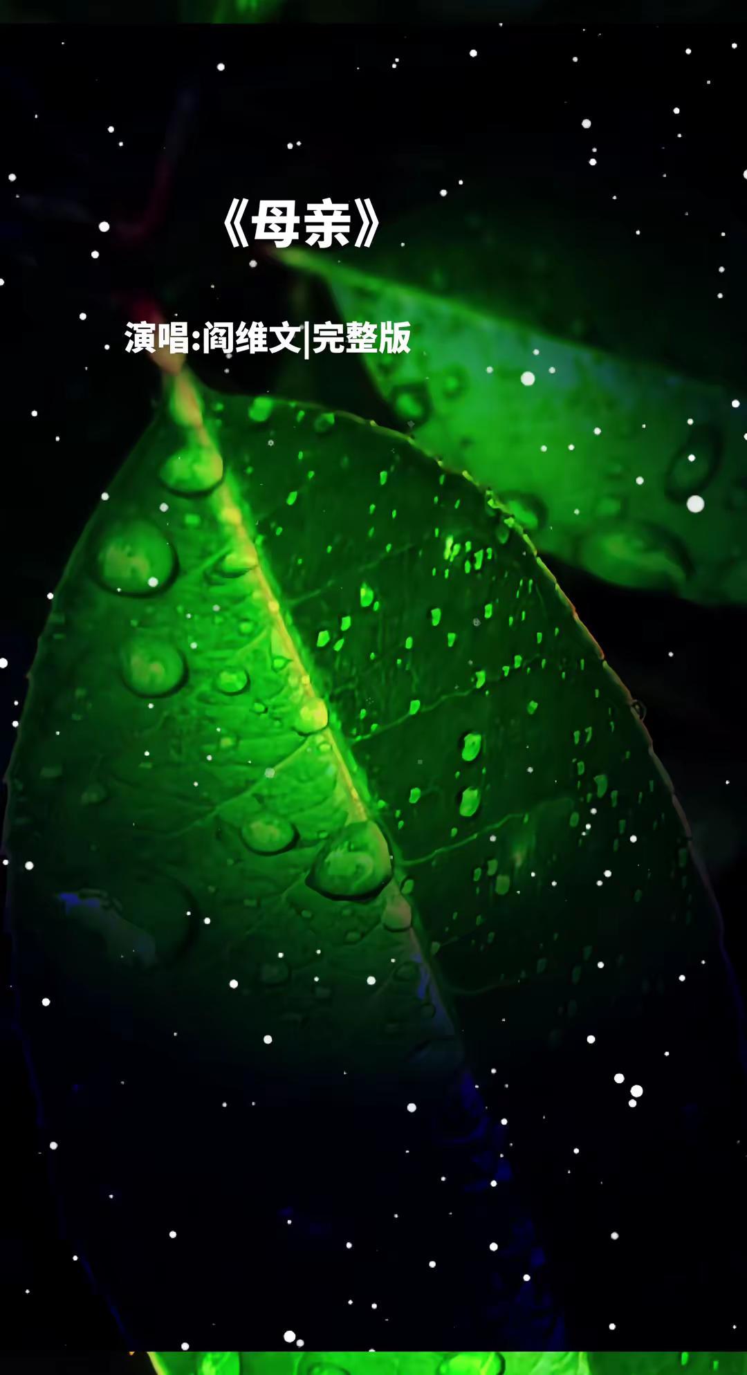 承蒙岁月不弃，  感恩一切给予，愿岁月温柔以待。祝愿天下所有的父母幸福安康，年少