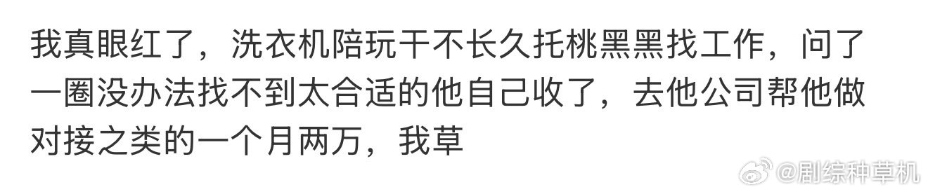 桃黑黑给洗衣机安排工作桃黑黑给洗衣机找工作 桃黑黑给洗衣机安排工作，震撼了 