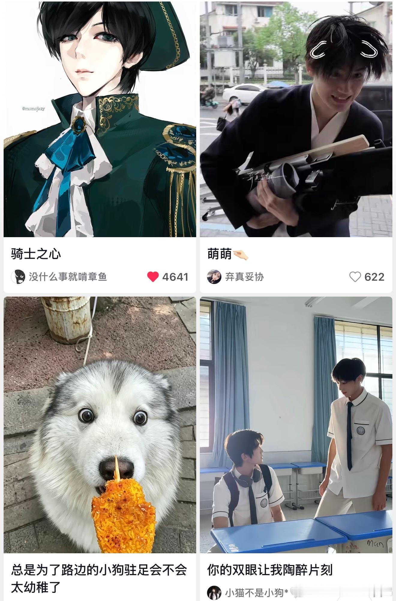 晨晨和这狗咋这么像 