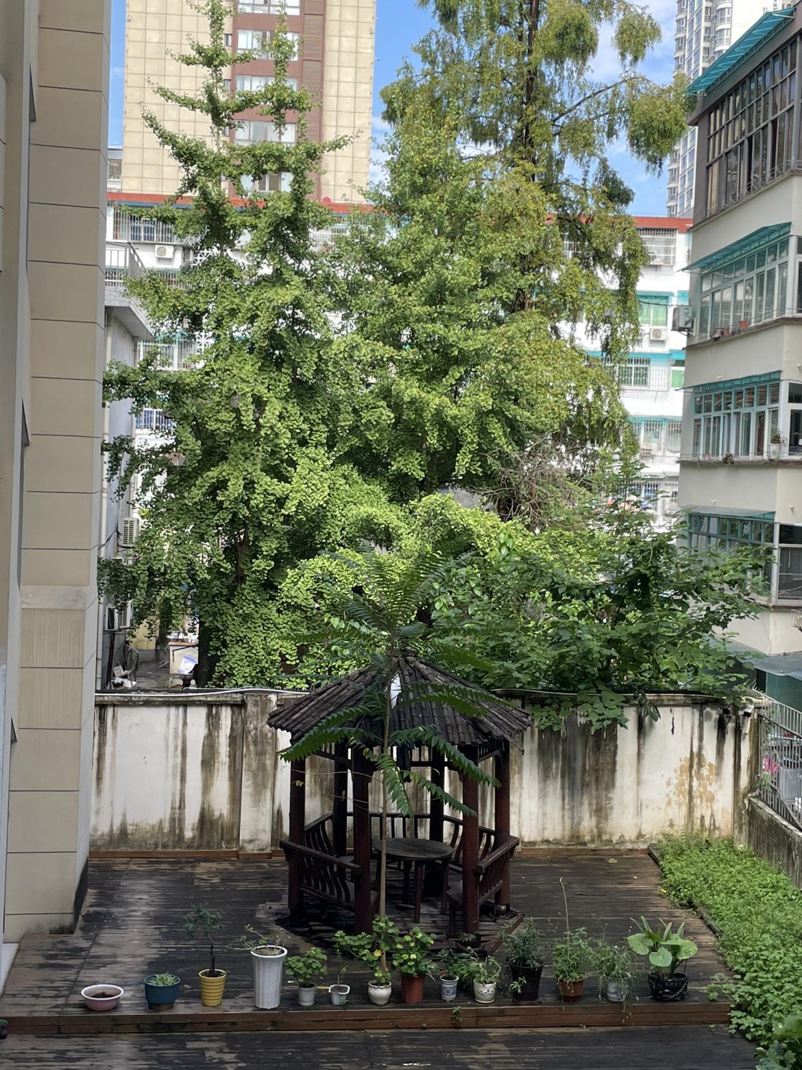 凌晨五点过，被大雨的声音惊醒了，赶快起来看了一下窗子，该关上的先关上。

早上快