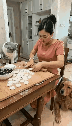 自从有了ai，直接变天了，连猫🐱都要造反了，此种情况令人担忧。