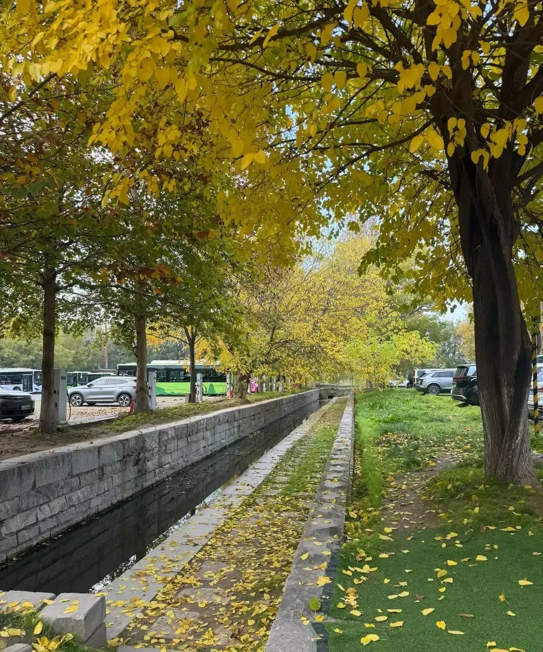 一个女生发帖说老公一出差她就把门窗锁三遍，床头摆空酒瓶，楼道有点动静就醒。
丈夫